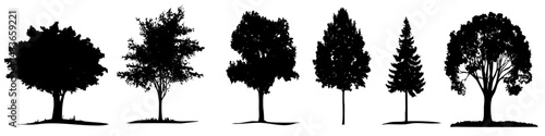 Various types of trees illustrated in vector form showcasing distinct shapes and silhouettes