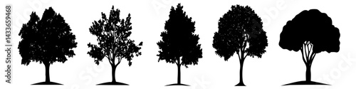 Vector shapes of various trees illustrating diverse foliage and heights for design purposes