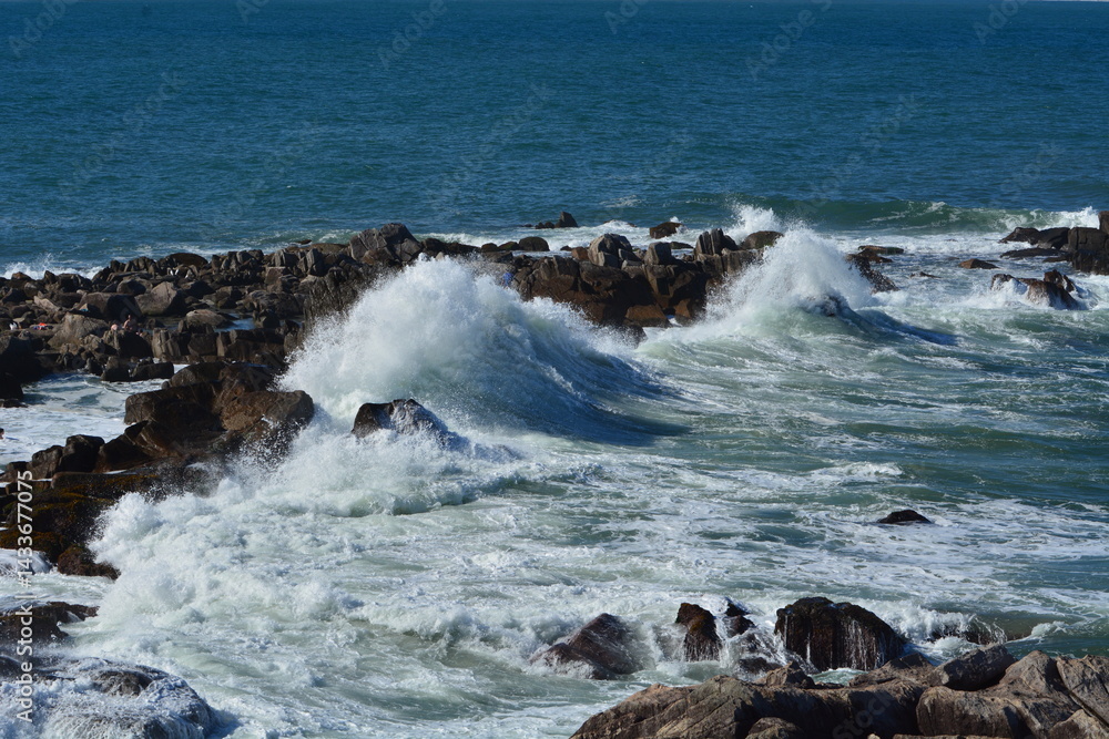 praia da armaçao