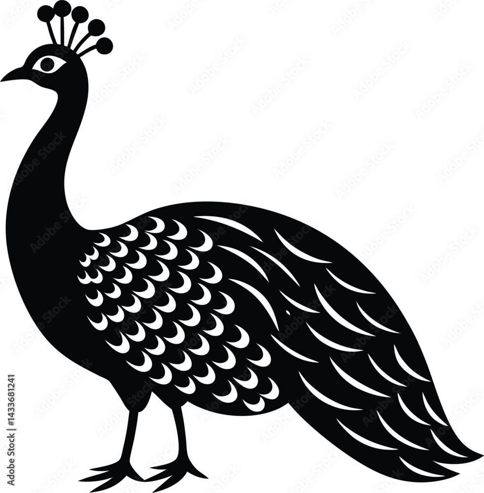 Fototapeta premium peacock vector illustration