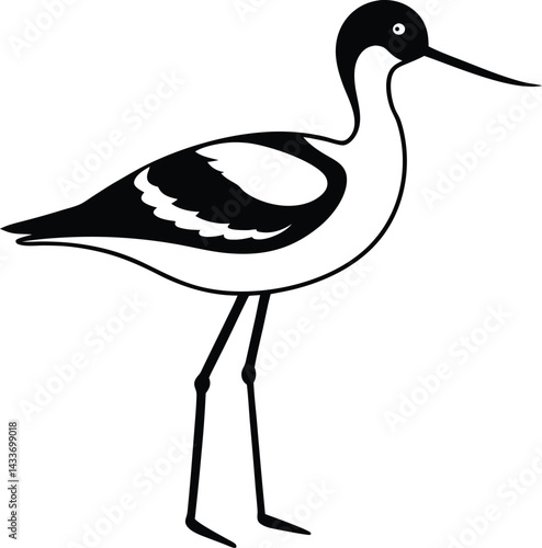 vector illustration of a stork