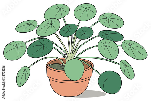 95 Pilea peperomioides, Chinese money plant, UFO plant, terracotta pot, green round leaves, houseplant, indoor plant, minimalist, clean background, botanical photography, soft lighting, vibrant green,