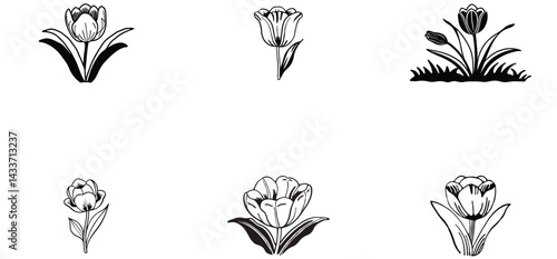 Tulip flower unique  hand drawn line art silhouette vector set design