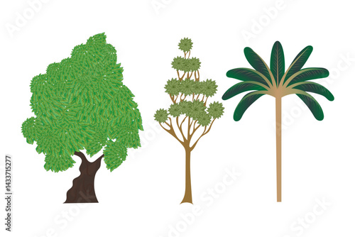 Moroccan decorative floral wallpaper with peacock, dates tree, plant seamless pattern