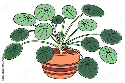 95 Pilea peperomioides, Chinese money plant, UFO plant, terracotta pot, green round leaves, houseplant, indoor plant, minimalist, clean background, botanical photography, soft lighting, vibrant green,
