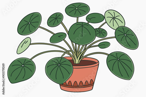 95 Pilea peperomioides, Chinese money plant, UFO plant, terracotta pot, green round leaves, houseplant, indoor plant, minimalist, clean background, botanical photography, soft lighting, vibrant green,