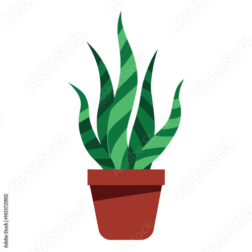 snake plant in a pot