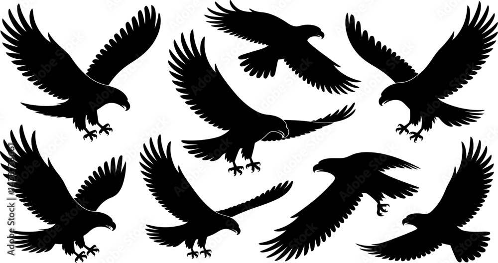 Obraz premium Adobe Illustrator Artwork