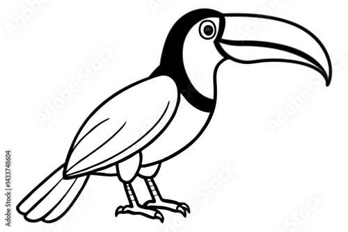 Elegant Toucan Sketch