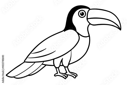 Elegant Toucan Sketch