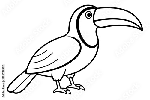 Elegant Toucan Sketch