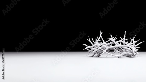 White crown of thorns on a plain background
