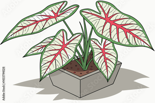 100 Houseplant, concrete pot, green leaves with red veins, tropical foliage, indoor plant, Caladium, textured leaves, compact growth, realistic lighting, high detail, botanical illustration style, whi