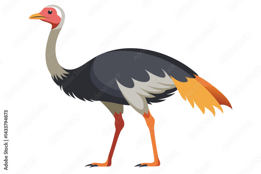 Obraz premium Ostrich isolated illustration on white background. 