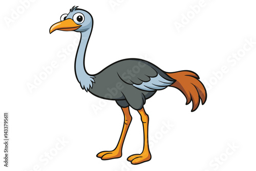 Ostrich isolated illustration on white background.
