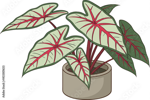 100 Houseplant, concrete pot, green leaves with red veins, tropical foliage, indoor plant, Caladium, textured leaves, compact growth, realistic lighting, high detail, botanical illustration style, whi