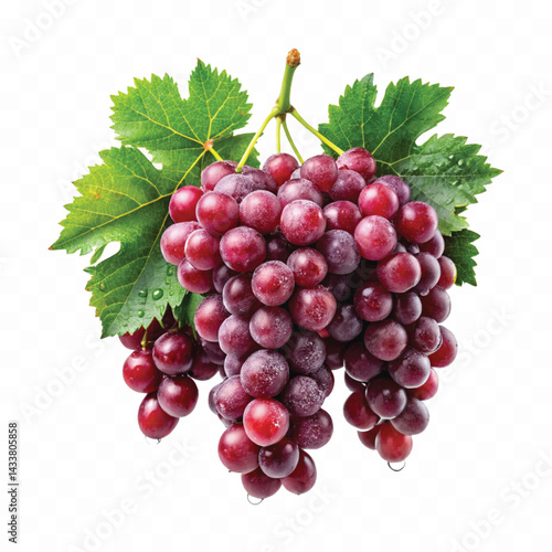 abstract 3d fresh  bunch grapes in different style isolated on white background