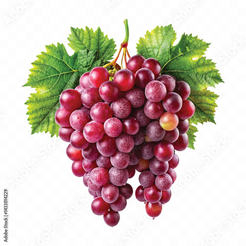 abstract 3d fresh  bunch grapes in different style isolated on white background
