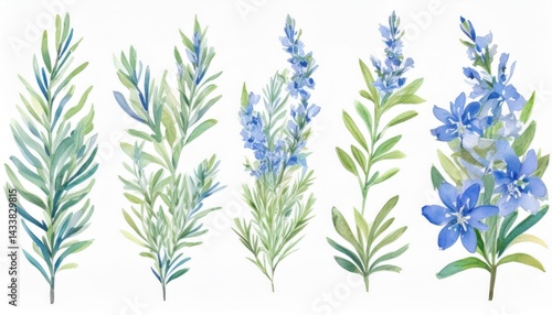 Wallpaper Mural watercolor blue wildflowers and green foliage illustration for botanical branding, web design, packaging, invitations, and print media

 Torontodigital.ca