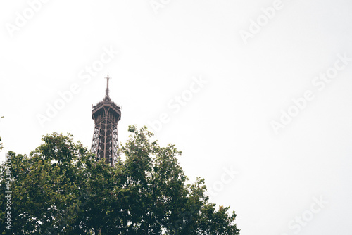 The upper part of the Eiffel Tower rises above the tops of green trees, standing tall against a bright sky.