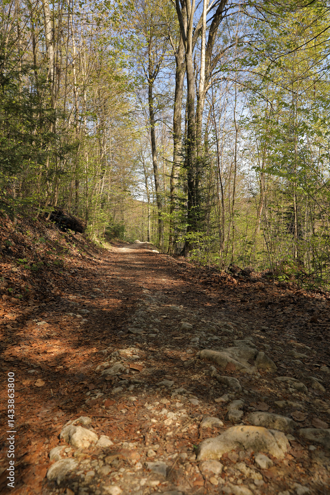 Fototapeta premium Ojcow National Park in Poland, near Krakow, rocks, active recreation, hiking in Polish mountains, family vacation, rocks, hiking routes in the mountains