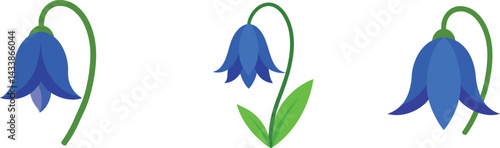 Set of  bluebell vector illustration.