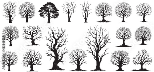 silhouette bare trees set on white background. spooky, scary, horror, bare tree vector