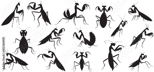 Mantis silhouette set vector illustration, isolated on white background, Praying mantis, Silhouette of a praying mantis insect vector  