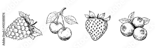 Sketch crayon summer berry set. Hand drawn scribble doodle dessert wild berries cherry, strawberry, blueberry, raspberry. Pencil texture vector illustration.
