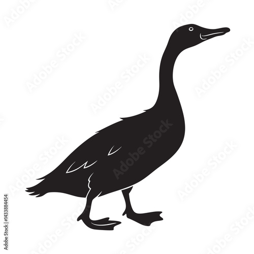 Indian Runner Duck Standing Silhouette Vector