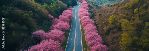 Obraz na płótnie dronw view of a road in the mountains aligned with cherry trees w salonie