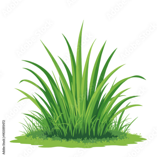 Vibrant Green Grass Clump Isolated on White
