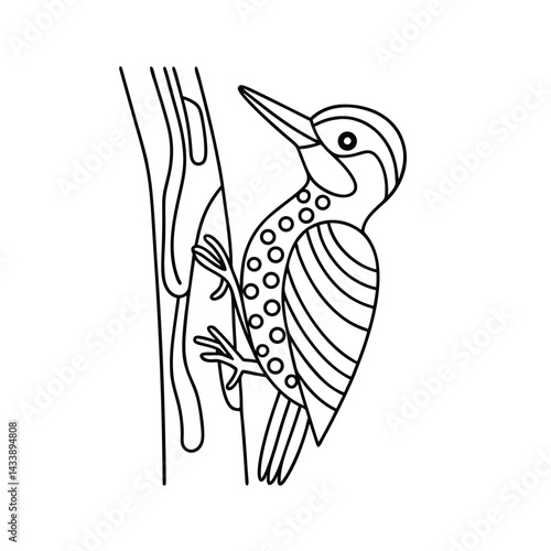 Woodpecker clinging to a tree branch minimalist line art design illustration