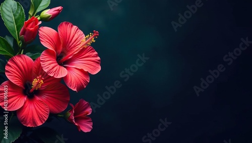 Wallpaper Mural Bold hibiscus flowers, stylized design, dark background , textile, texture Torontodigital.ca