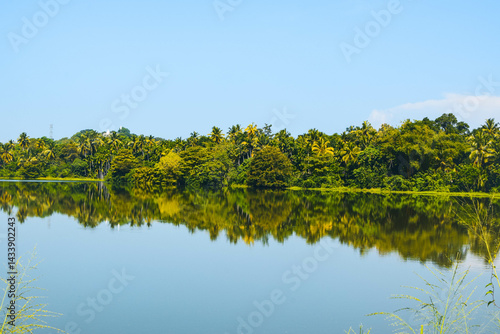 Blue Lake Surrounded by Lush Green Trees and Vines. Tranquil Forest Lake with Crystal Blue Water and Natural Foliage. Beautiful Blue Water Lake in the Heart of a Green Forest. Asian Lake Landscape