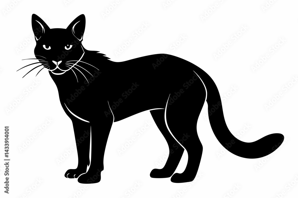 Obraz premium sand cat sihouette black vector