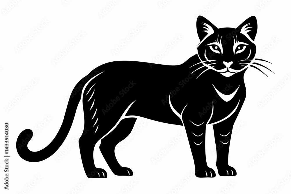 Obraz premium sand cat sihouette black vector