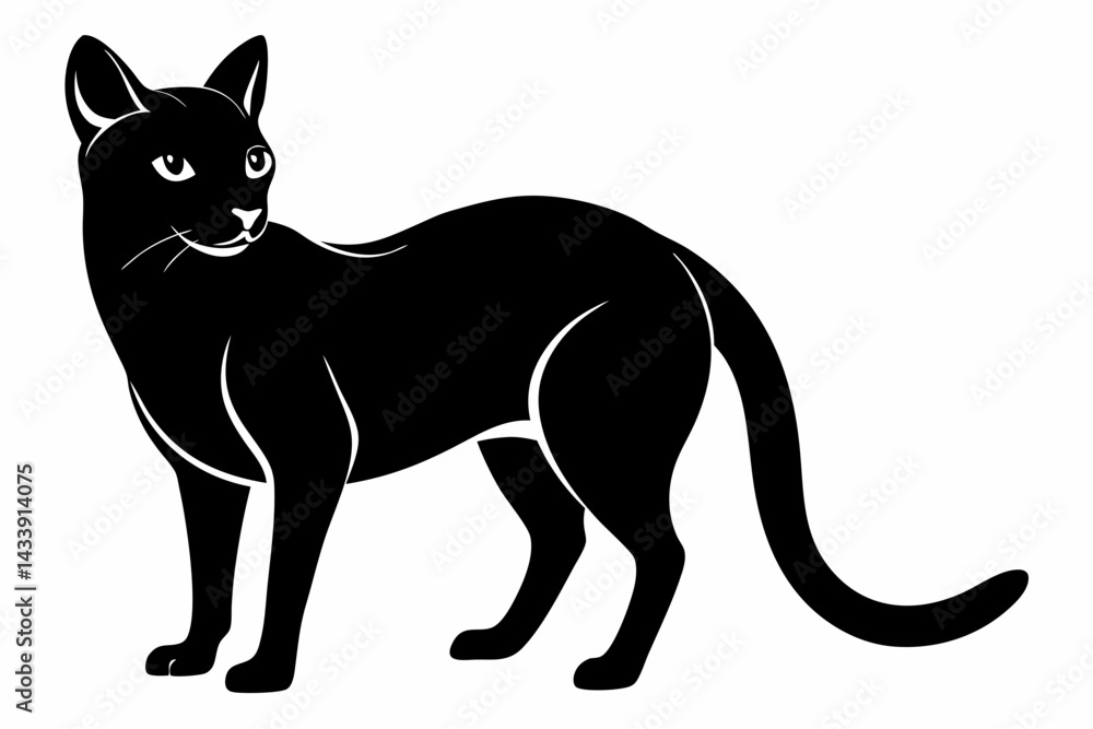 Obraz premium sand cat sihouette black vector