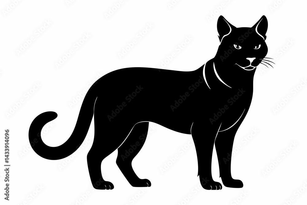 sand cat sihouette black vector sand cat sihouette black vector