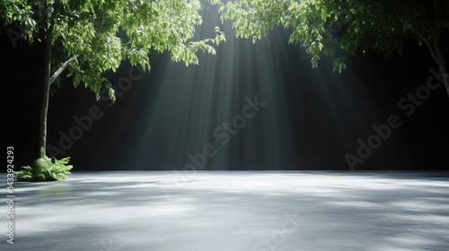 Sunlight streams through trees onto a dark floor. Lush foliage casts shadows on a smooth, light gray surface