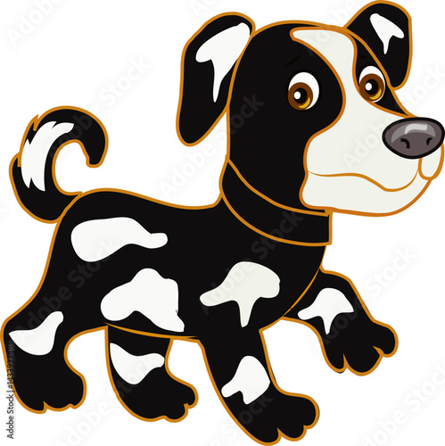 Charming Black and White Dog Breeds and Traits