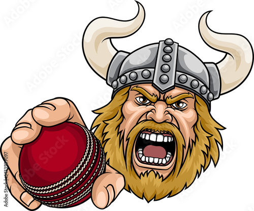 Viking Cricket Ball Sports ...