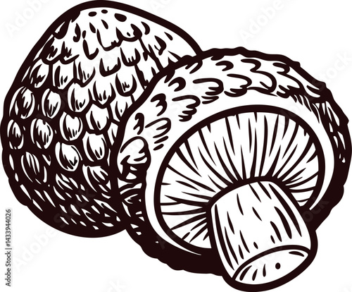 of two whole mushrooms with textured caps and stems in black and white design.