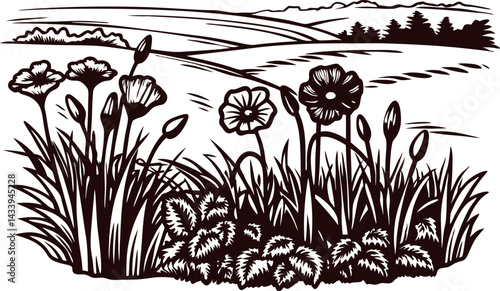 Black and white landscape with wildflowers and rolling hills