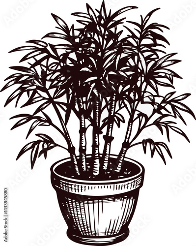 Potted bamboo plant drawing in black and white with detailed leaves and stalks