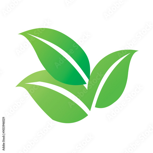 green leaf isolated on white