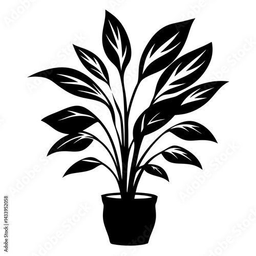 Black and white depiction of a potted Peace Lily plant illustration