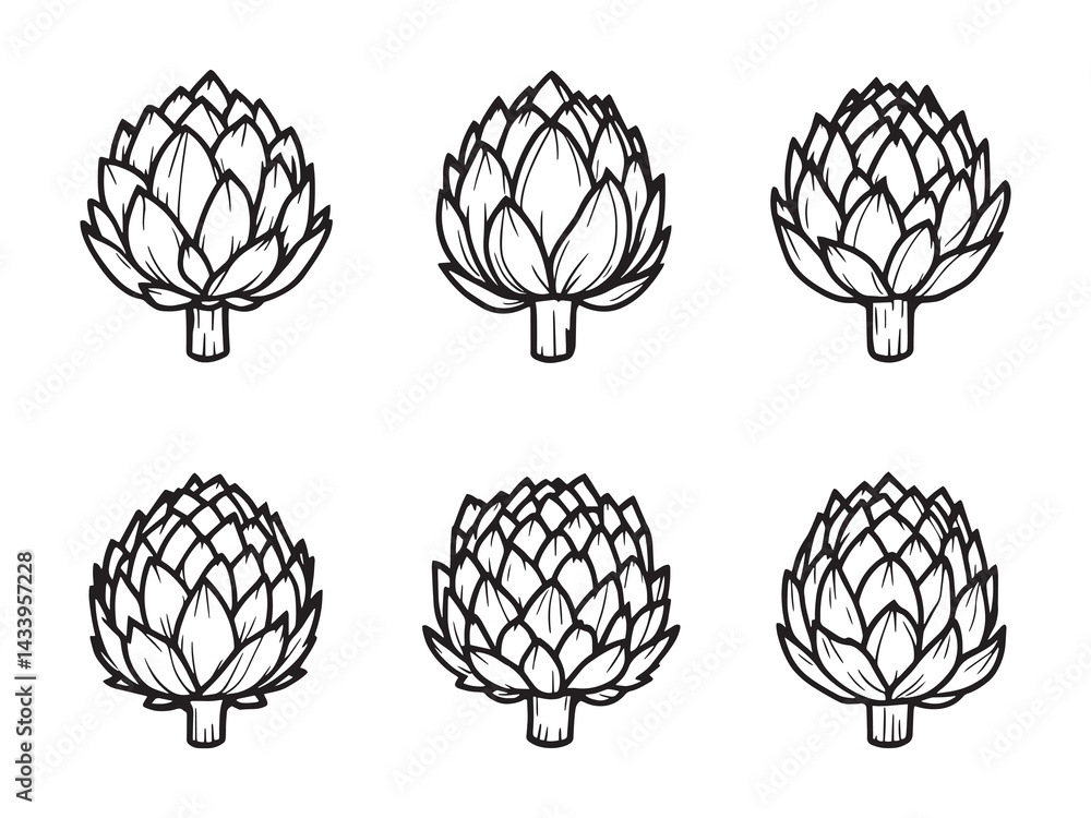 Fototapeta premium Artichoke line art unique botanical illustration ideal for digital projects 