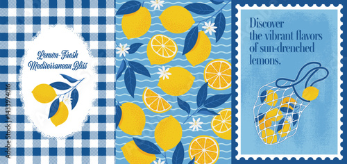 Lemons Poster in Mediterranean style. Vector illustration in flat style of citrus, cut fruits, traditional pattern