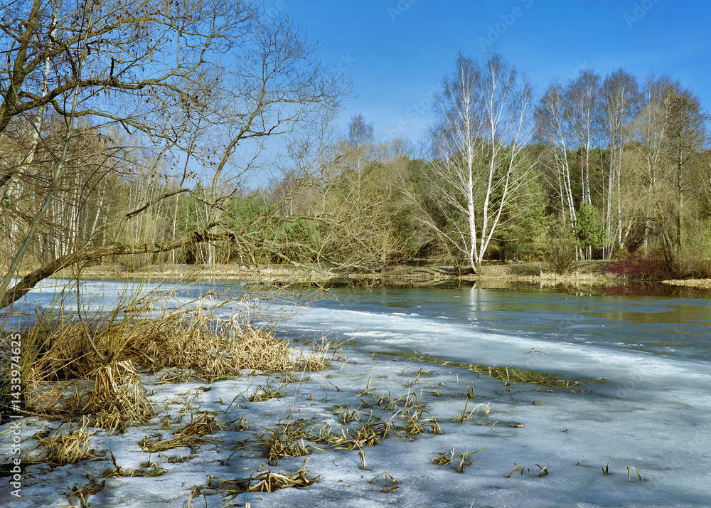 Trees at the shore of a lake covered with ice in early spring